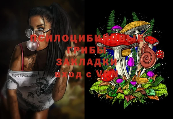 Альфа ПВП Алексин