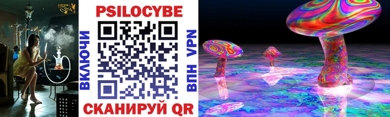Галлюциногенные грибы Cubensis  что такое наркотик  Южно-Сухокумск 